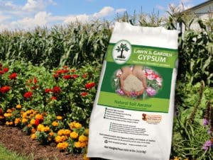 Keeping Winter Salt from Destroying Landscaping - USA Gypsum